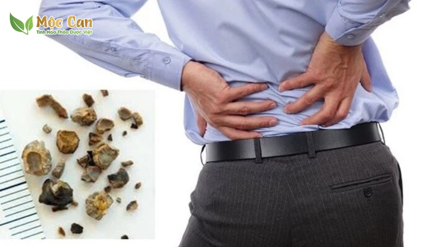 THOÁT KHỎI CHỨNG TIỂU ĐÊM NHỜ LOẠI THẢO DƯỢC ĐỘC ĐÁO NÀY 1